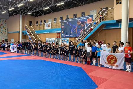 При поддержке сенатора РФ, члена ЦК КПРФ Айрата Гибатдинова состоялся чемпионат и первенство Ульяновской области по панкратиону