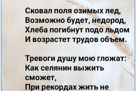 В.И. Кашин: Без села не жить России