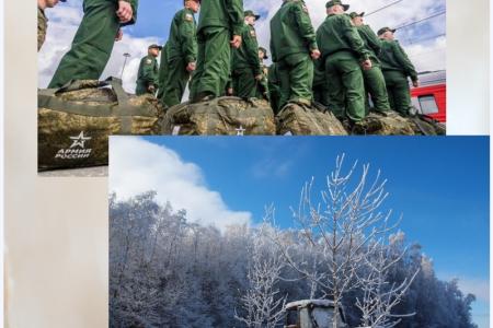 В.И. Кашин: Без села не жить России