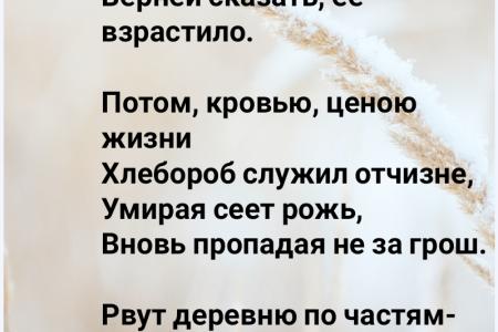 В.И. Кашин: Без села не жить России
