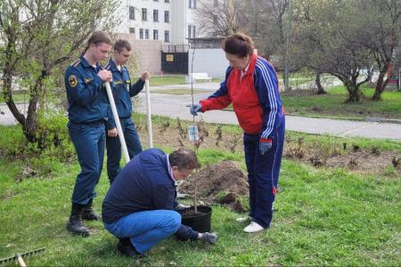 Депутаты-коммунисты приняли участие в субботнике в Комсомольском парке города-героя Сталинграда