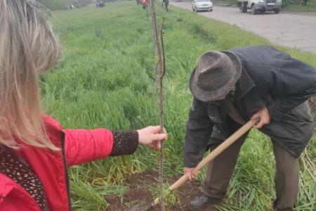 В канун Первомая и Дня Победы луганский актив КПРФ высадил каштановую аллею