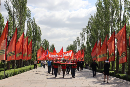Волгоградская область. Коммунисты и комсомольцы почтили память павших солдат в Великой Отечественной войне