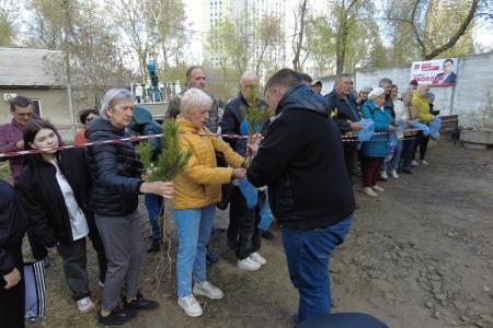 Депутаты-коммунисты раздали более 8000 саженцев кедра в Новосибирске