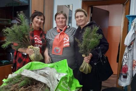 Алтайские коммунисты проводят экологическую акцию «Кедр – в каждый двор»
