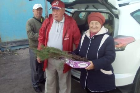 Алтайские коммунисты проводят экологическую акцию «Кедр – в каждый двор»
