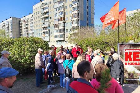 Алтайские коммунисты проводят экологическую акцию «Кедр – в каждый двор»