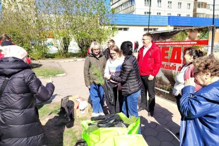 Алтайские коммунисты проводят экологическую акцию «Кедр – в каждый двор»