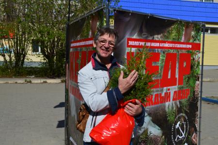 Алтайские коммунисты проводят экологическую акцию «Кедр – в каждый двор»