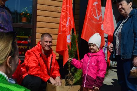 Алтайские коммунисты проводят экологическую акцию «Кедр – в каждый двор»