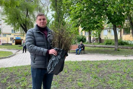 Воронеж. Благоустройство сквера «Пионерский» продолжается