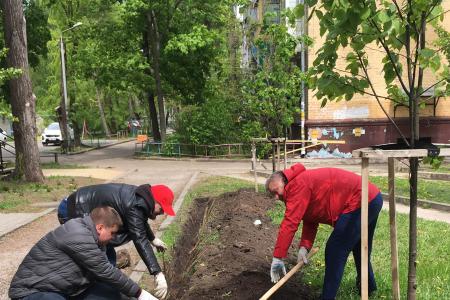 Воронеж. Благоустройство сквера «Пионерский» продолжается