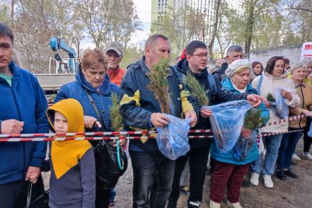 Депутаты-коммунисты раздали более 8000 саженцев кедра в Новосибирске