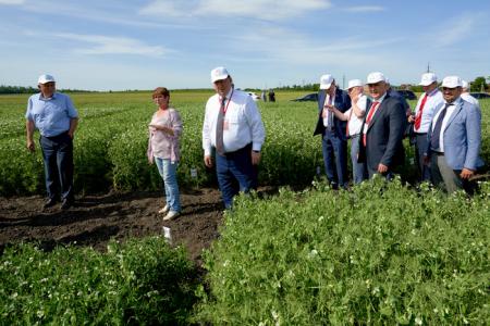 В.И. Кашин посетил Ростовский аграрный научный центр