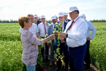 В.И. Кашин посетил Ростовский аграрный научный центр