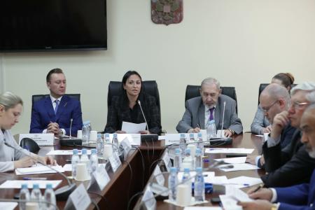 Анастасия Удальцова провела в Государственной Думе заседание Рабочей группы по вопросам социальной адаптации мигрантов
