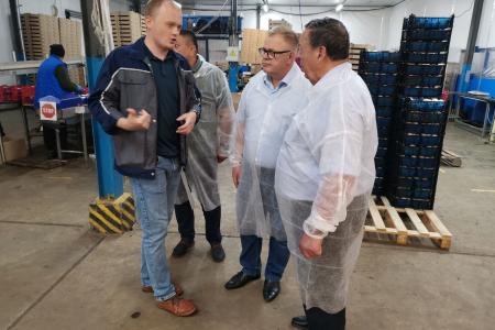 Александр Наумов: Подмосковье может стать лидером в стране по производству грибов