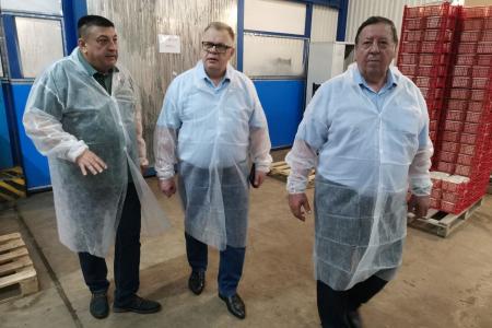 Александр Наумов: Подмосковье может стать лидером в стране по производству грибов