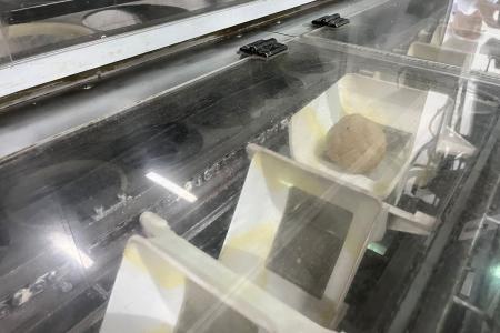 Заместитель Председателя ЦК КПРФ, Председатель Комитета Госдумы по аграрным вопросам В.И. Кашин посетил ЗАО «Щёлковохлеб»