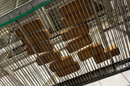 Заместитель Председателя ЦК КПРФ, Председатель Комитета Госдумы по аграрным вопросам В.И. Кашин посетил ЗАО «Щёлковохлеб»