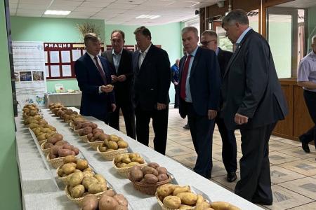В.И.Кашин посетил с рабочим визитом ФГБНУ «ФИЦ картофеля имени А.Г.Лорха» в Московской области