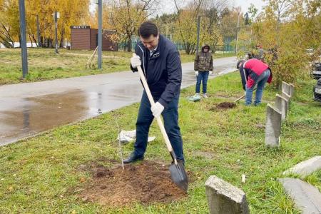 Олег Лебедев вместе с жителями города Конаково Тверской области посадили каштановую аллею