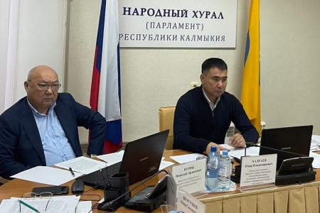Члены фракции КПРФ в Народном Хурале Калмыкии приняли активное участие в заседаниях парламентских комитетов