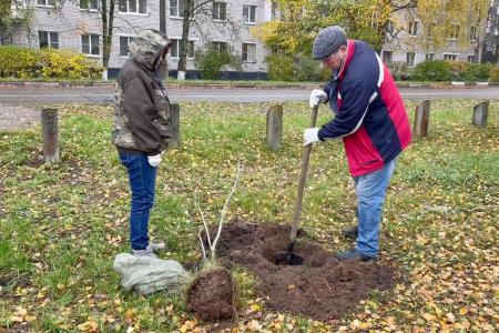 Олег Лебедев вместе с жителями города Конаково Тверской области посадили каштановую аллею