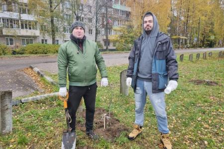Олег Лебедев вместе с жителями города Конаково Тверской области посадили каштановую аллею