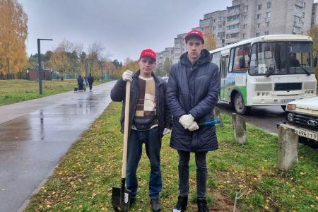 Олег Лебедев вместе с жителями города Конаково Тверской области посадили каштановую аллею