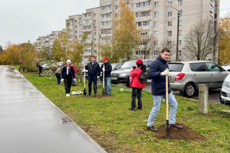 Олег Лебедев вместе с жителями города Конаково Тверской области посадили каштановую аллею