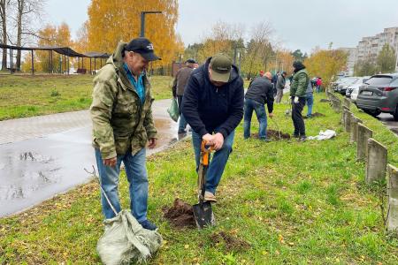 Олег Лебедев вместе с жителями города Конаково Тверской области посадили каштановую аллею
