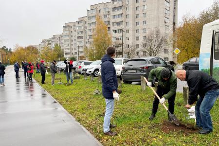 Олег Лебедев вместе с жителями города Конаково Тверской области посадили каштановую аллею