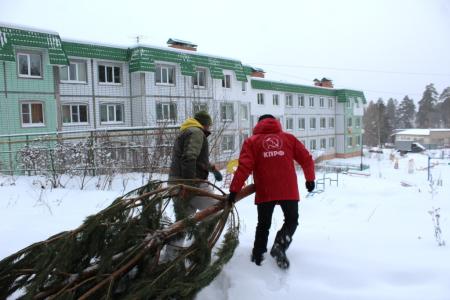 Пензенские коммунисты привезли ёлки в школы, детские сады и во дворы пензенцев