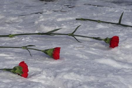 Саратовские коммунисты отметили День рождения Советской Армии и Военно-Морского Флота