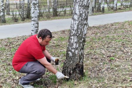 Рязанские коммунисты и комсомольцы вышли на субботник
