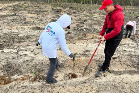 «Сад Памяти» в Республике Марий Эл
