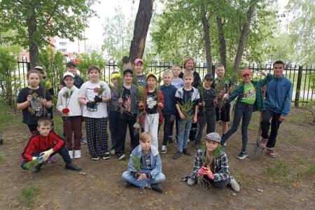 «Кедр – в каждый двор». Экологическая акция алтайских коммунистов