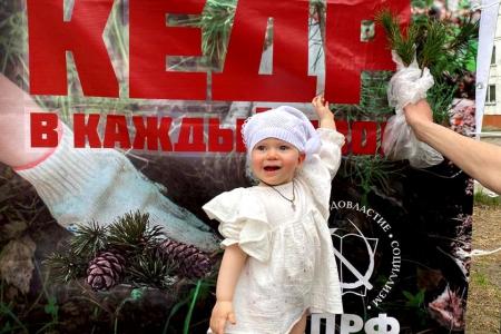 «Кедр – в каждый двор». Экологическая акция алтайских коммунистов