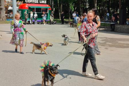 Рязань. Денис Сидоров посетил выставку бездомных животных – «Пойдём домой»