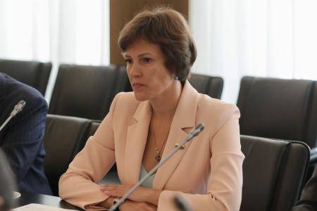 Группа депутатов под руководством Ирины Филатовой провела встречу с послом Намибии