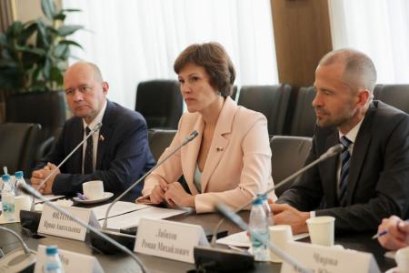 Группа депутатов под руководством Ирины Филатовой провела встречу с послом Намибии