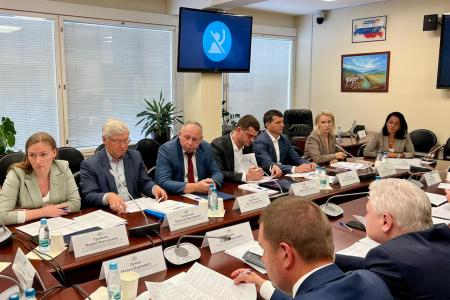 Анастасия Удальцова провела в Государственной Думе очередное заседание Рабочей группы по вопросам миграции
