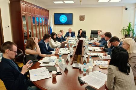Анастасия Удальцова провела в Государственной Думе очередное заседание Рабочей группы по вопросам миграции