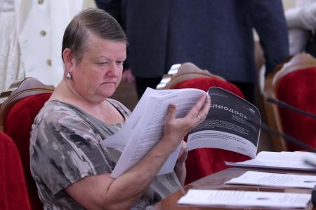 В Госдуме прошел «круглый стол», посвященный анализу организации деятельности кризисных центров для женщин, находящихся в трудной жизненной ситуации