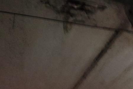 Лидер московских коммунистов Н.Г. Зубрилин принял участие в инспекционном обходе жилого многоквартирного дома в Троицке