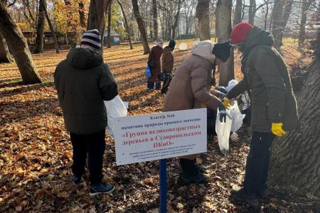 Ставропольский край. Коммунисты и комсомольцы приняли активное участие во Всероссийской акции «Живи, лес!»