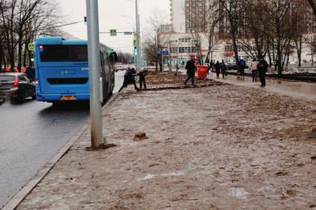 Денис Парфенов: Опасные «островки безопасности»