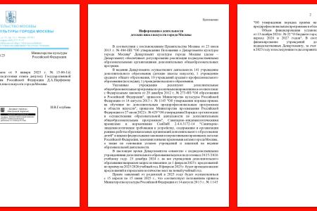 Денис Парфенов: Депутатские запросы в защиту детских школ искусств — первая реакция