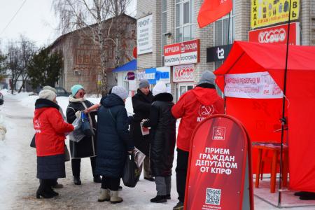 Мария Дробот: Народный референдум и обращения от жителей Пермского края